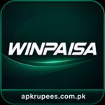 WINPAISA online gaming platform interface guide
