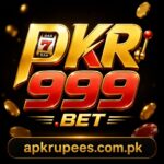 PKR999 gaming platform review and game interface